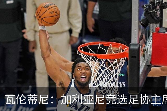 瓦伦蒂尼：加利亚尼竞选足协主席，意甲内部存在分裂